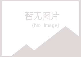 鹤岗兴山元枫金属有限公司